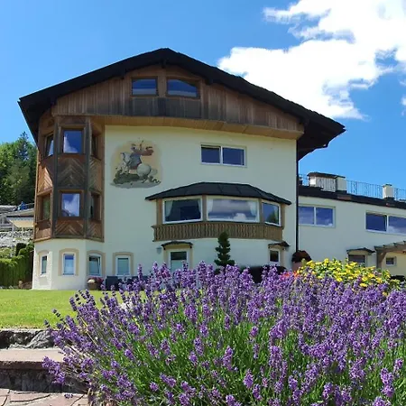 Hotel Hotel-garni Drachenburg 3*