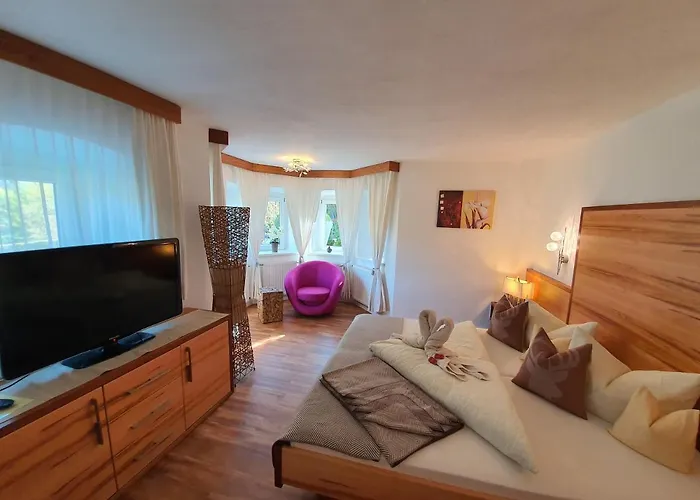 Hotel Hotel-garni Drachenburg 3*